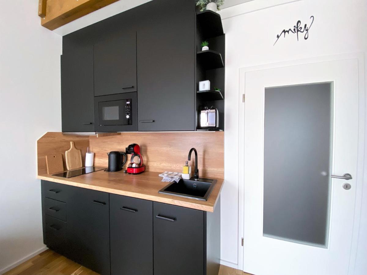 Miky Apartman Klinovec View Loucna pod Klinovcem Luaran gambar