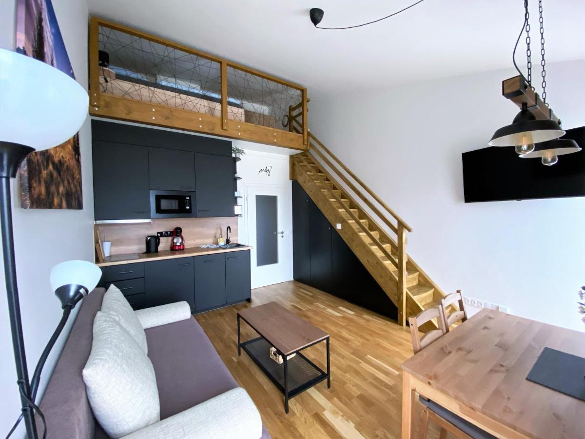 Miky Apartman Klinovec View Loucna pod Klinovcem Luaran gambar